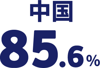 中国 85.6%